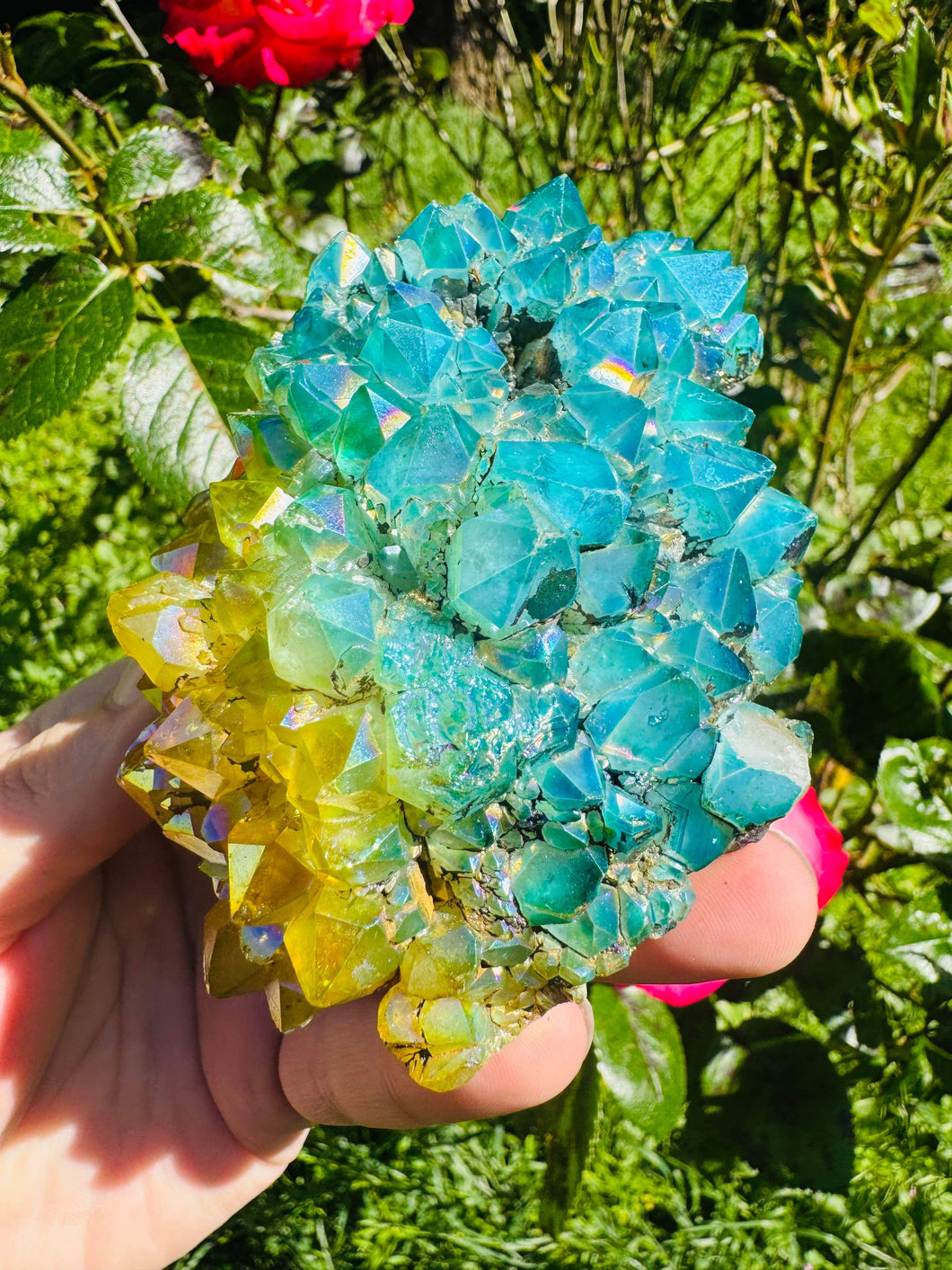 Brazilian Aura Cluster Blue Sunflower