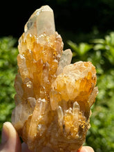 Load image into Gallery viewer, Lemurian Pineapple Quartz
