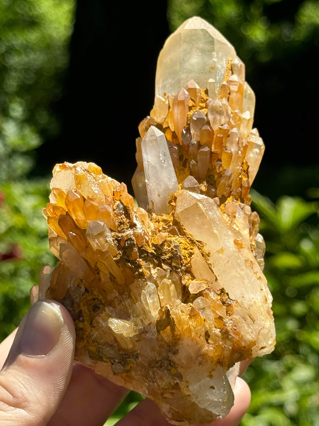 Lemurian Pineapple Quartz