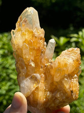 Load image into Gallery viewer, Lemurian Pineapple Quartz
