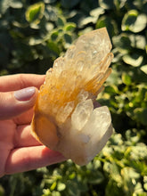 Load image into Gallery viewer, Himalayan￼ Gold infused Pineapple Quartz Barnacle

