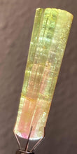 Load image into Gallery viewer, Watermelon Tourmaline
