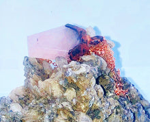 Load image into Gallery viewer, Coffin Rose Quartz Electroformed Copper Amulet
