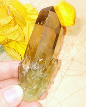 Load image into Gallery viewer, Kundalini Citrine Seed

