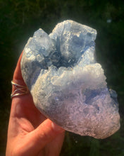 Load image into Gallery viewer, Unlimited Royal Reiki Celestite Gaint SoulSeed
